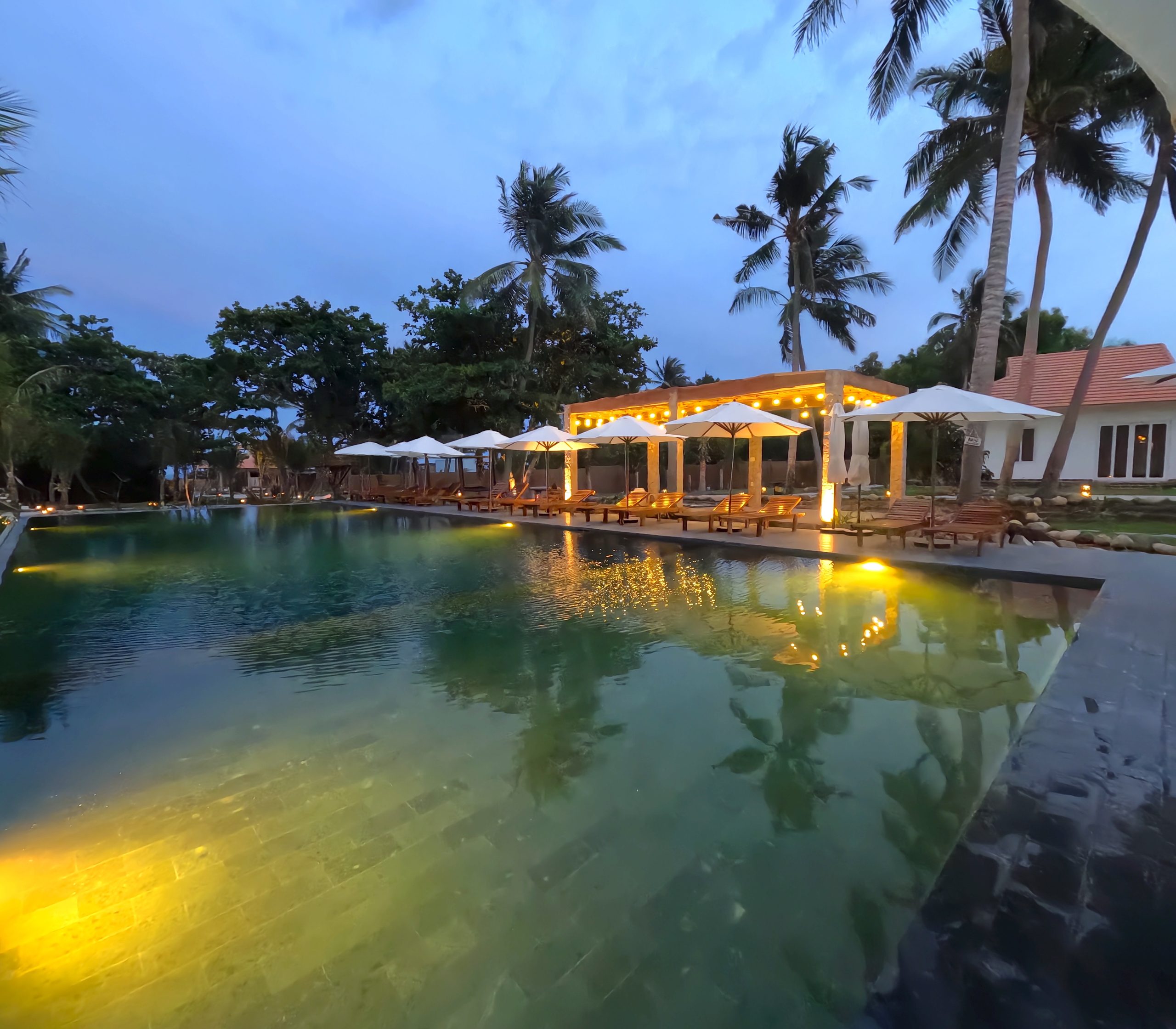 Nhà đầu tư khách sạn